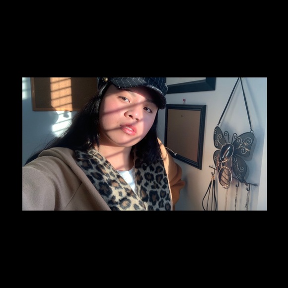 Pea coat with Cheetah Print Collar - Picture 7 of 7